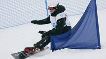 16 BUTOLLO Sandro (AUT) – stříbrný snowboardista. Obří slalom na snowboardu na evropské olympiádě mládeže EYOWF 2011 v Rejdicích. 