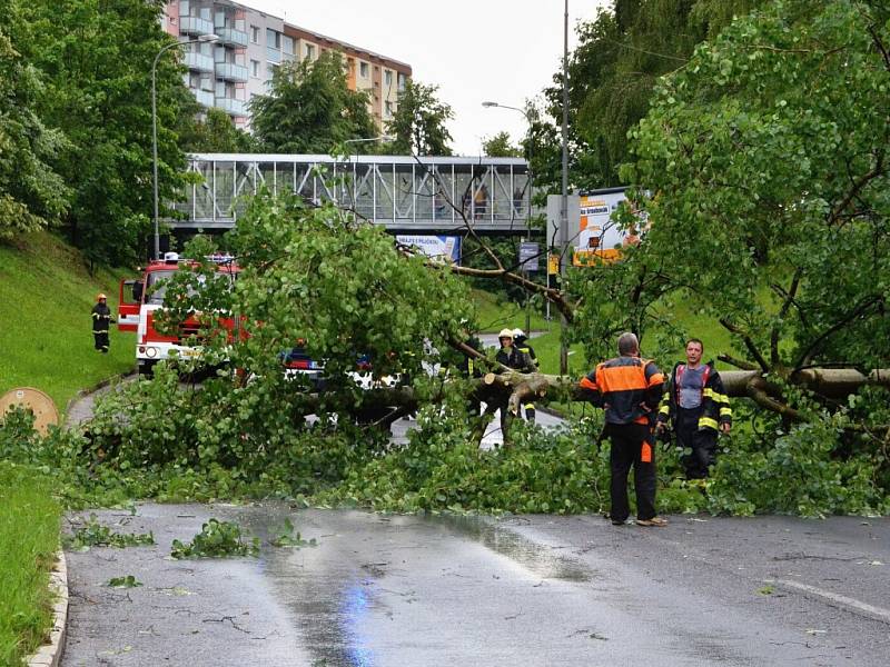 Sobotní apokalypsa po krátké ale razantní bouřce s vichřicí. 