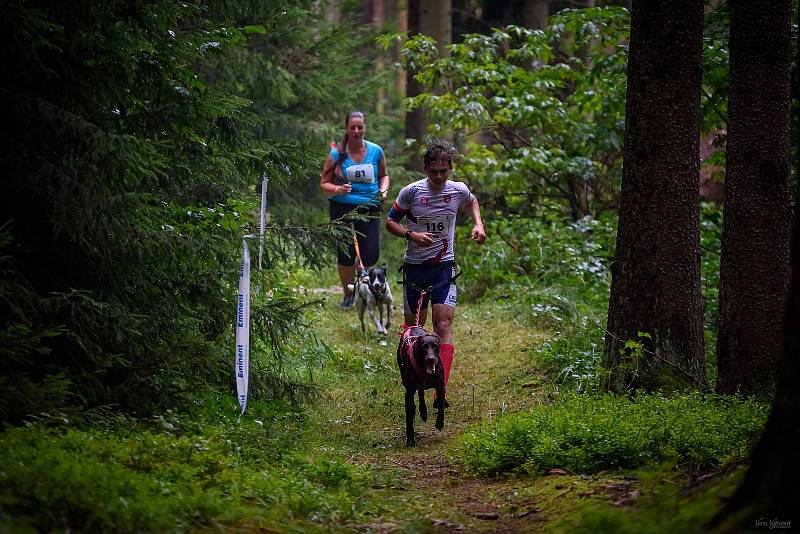 Hruboskalský canicross.