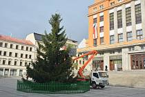 Jablonecký vánoční strom je ozdoben, rozsvítí se ale bez programu a veřejnost.
