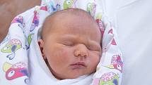 JAKUB SNÁŠEL se narodil v pondělí 11. prosince v jablonecké porodnici mamince Martině Snášelové z Rádla.  Měřil 47 cm a vážil 3,23 kg.