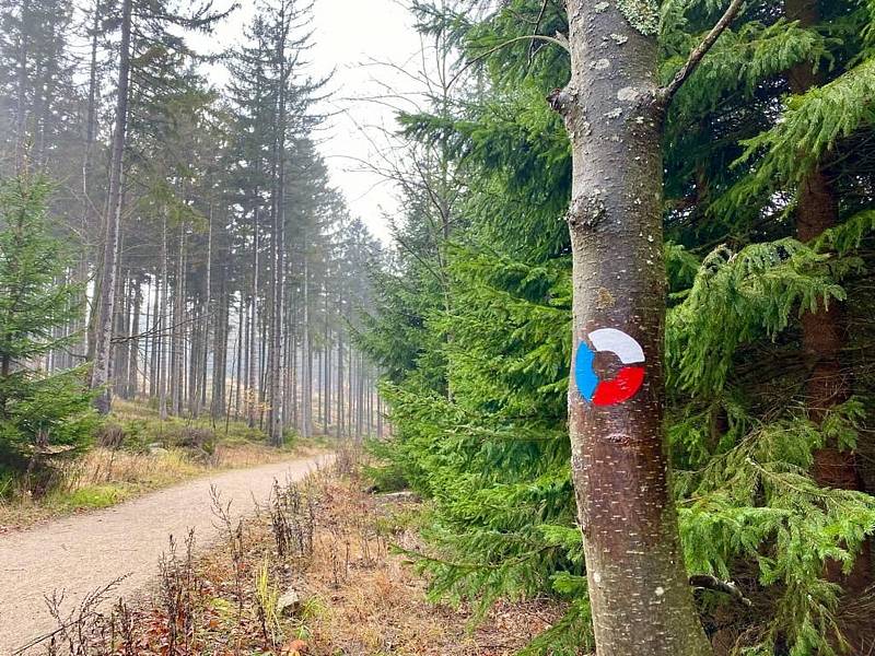 Stezka svobody v Lučanech a někteří její tvůrci.