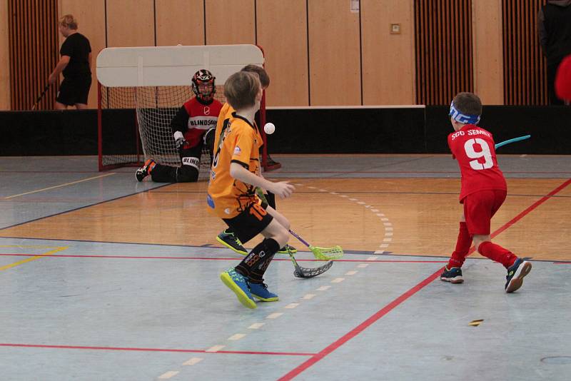 V jablonecké sportovní hale se konal florbalový turnaj elévů, které pořádal domácí klub Florbal Jablonec.