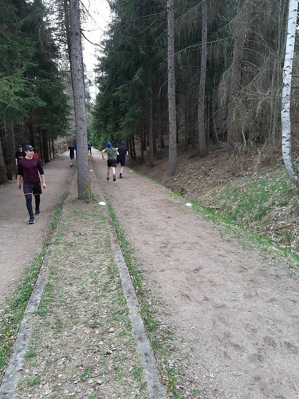 Konečně se můžou setkávat a v omezeném počtu trénovat společně. A  hráči všech věkových kategorií HC Vlci naplno to využívají.