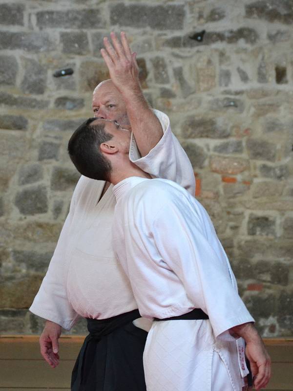 Dva věhlasní zahraniční mistři bojového umění, aikido a taichi, vedou sportovní kemp v nejvýše položené osadě Jizerských hor na Jizerce.
