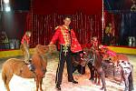 Slavný český cirkus Sultán rozbalil šapitó v Jablonci na Tajvanu. Jeho majitelé v čele s Karlem Berouskem pokračují v tradici slavné cirkusové rodiny, která bavila svým uměním celý svět už v předminulém století.