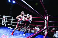 Už třetí Iron Fight Night se koná ve čtvrtek 22. února v jablonecké sportovní hale U přehrady.