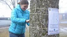 Dům dětí a mládeže Vikýř připravil pro všechny malé ale i velké putování po jabloneckých parcích s hrou Čekání na Ježíška.