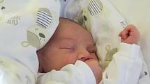 ŠTĚPÁN LANDA se narodil v pondělí 11. prosince v jablonecké porodnici mamince Zuzaně Landové z Jablonce nad Nisou.  Měřil 50 cm vážil 3,69 kg.