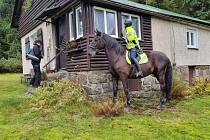 Policisté vyrazili na kontrolu chat na koních.
