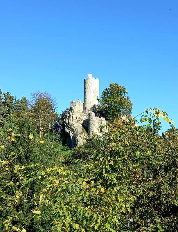 Frýdštejn si zahrál v pohádce O princezně Jasněnce a létajícím ševci.