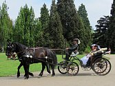 Na zámku Sychrov proběhly Svatební dny, během nichž si mohli návštěvníci udělat představu, jaké je to mít sňatek na zámku.