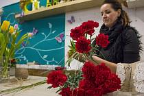 Mezinárodní den žen je oblíbený svátek, ke kterému již řadu let patří květiny a zejména karafiáty. Nafoceno v jabloneckém květinářství.