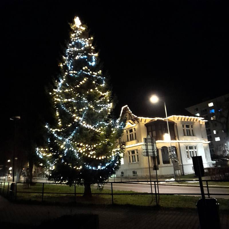 Vánoční strom v Desné