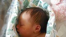 Dominika Králová se narodila 9. srpna v jablonecké porodnici mamince Aleně Novákové z Frýdlantu.Vážila 3,68 kg a měřila 51 cm.