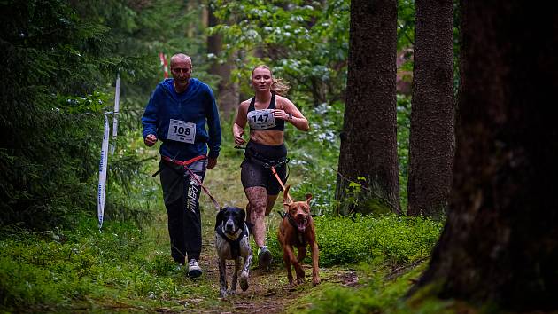 Hruboskalský canicross.