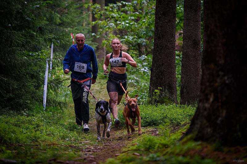 Hruboskalský canicross.