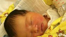 Dang Mai Linh se v jablonecké porodnici narodila Dang Thi Phuong z Mostu 12.5.2015. Měřila 48 cm a vážila 3700 g.