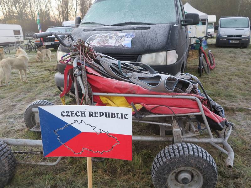 Bodovali nejen běžci se psem a Jana Henychová se spřežením, ale například i Bára Adámková, která díky svému odhodlání závod dokončila a stala se i juniorskou mistryní Evropy na koloběžce s jedním psem. 