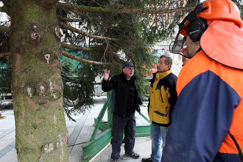 Vánoční strom - čtrnáctimetrový smrk - pro Jablonec již v pondělí padl na soukromé zahradě, aby v poledne zdobil Mírové náměstí před radnicí. Rozsvícen bude v neděli 27. listopadu v 17 hodin. Podobně budou stromy rozsvěceny i v dalších místech.