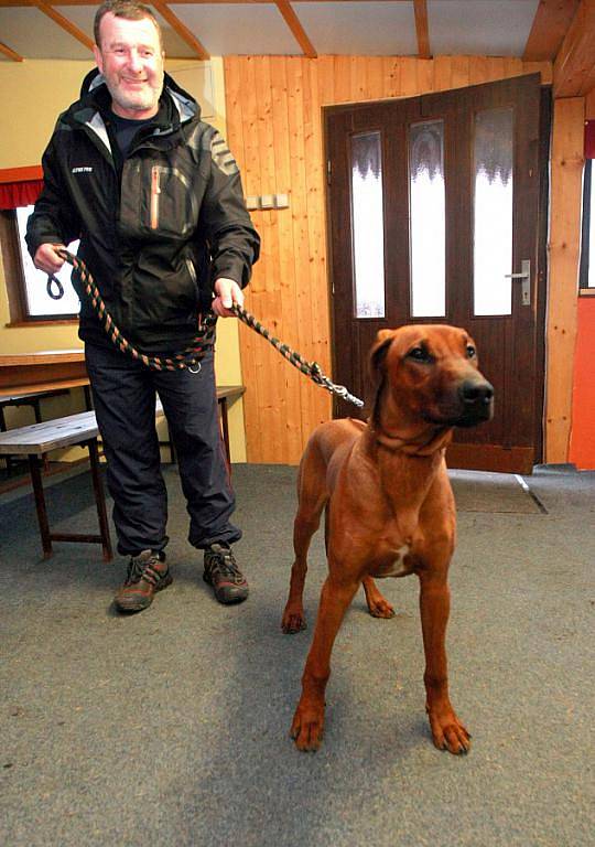 Na kynologickém cvičišti v Lukášově se učí psi "slušně" chovat