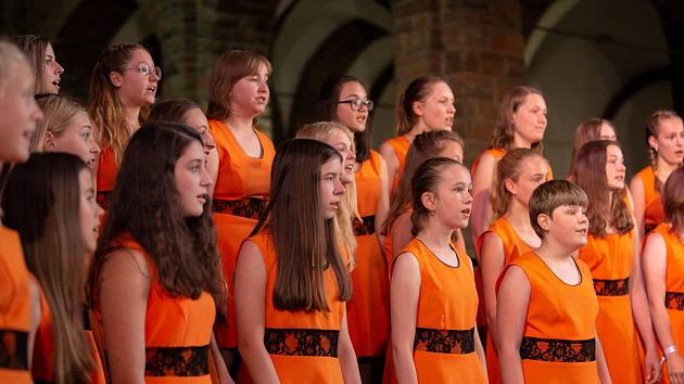 Z cesty jabloneckého dětského pěveckého sboru Iuventus, gaude! po Jihoafrické republice - vystoupení na World Choir Games v Tswaně (JAR).