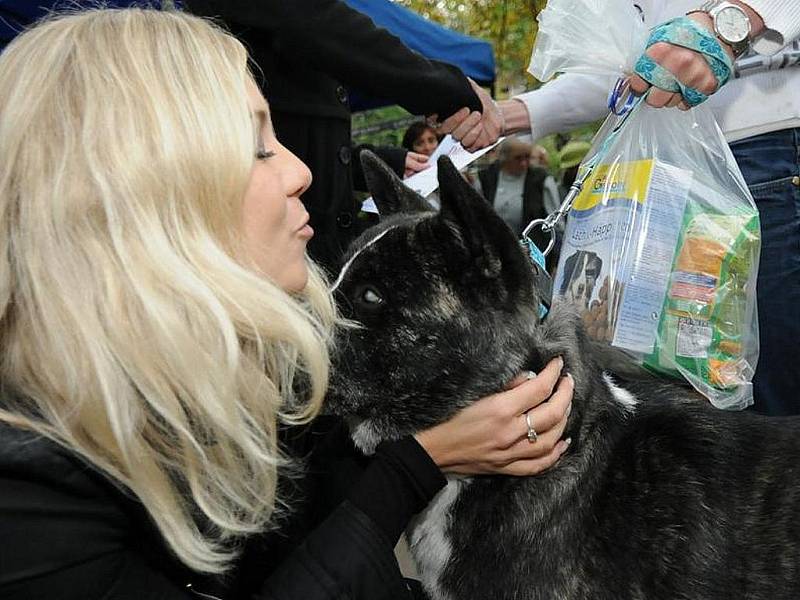 Zpěvačka Klára Kolomazníková usedla v porotě Jabloneckého voříška spolu s pražskou advokátkou Klárou Slámovou. 