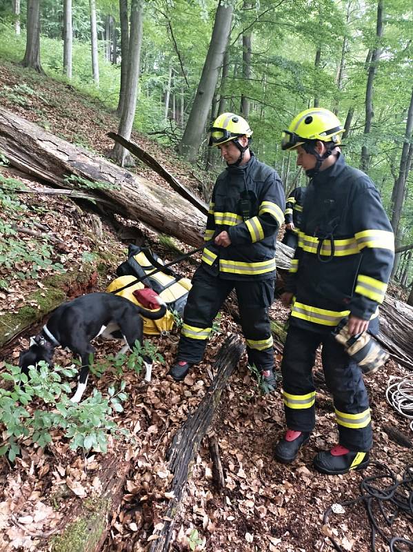 Hasiči - lezci zachránili psa ze skály v Turnově Bukovině