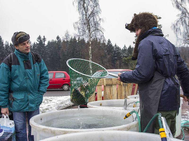 Kapřík patří na vánoční stůl. Ryby z Českého ráje prodávají i dva studenti v Jablonci.