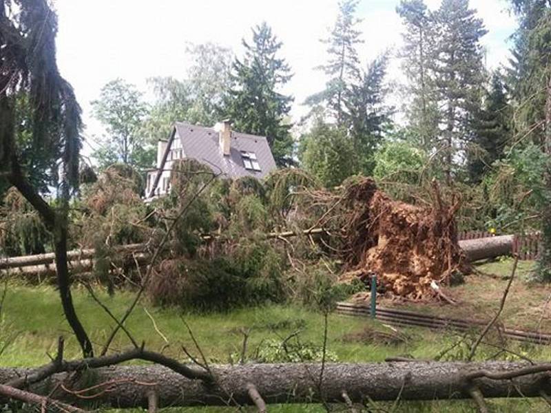 Sobotní apokalypsa po krátké ale razantní bouřce s vichřicí. 