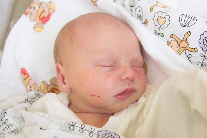 VANESSA FRYDRYCHOVÁ se narodila v pondělí 18. prosince v jablonecké porodnici mamince Veronice Müllerové z Liberce. Měřila 44 cm a vážila 2,85 kg.