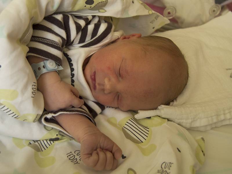 ADAM BERNAT se narodil v pondělí 23. října mamince Jaroslavě Bernatové z Turnova.  Měřil 46 cm a vážil 2,80 kg.