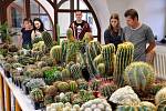 Výstava kaktusů a sukulentů v Krupce.