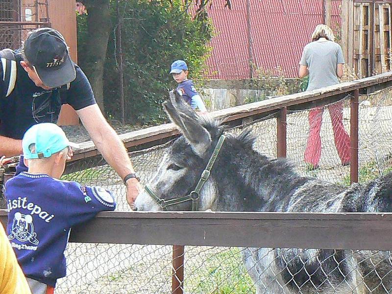 Tradiční Svatováclavská výstava ovcí a koz v areálu Kozí farmy v Pěnčíně na Jablonecku přilákala stovky lidí. 