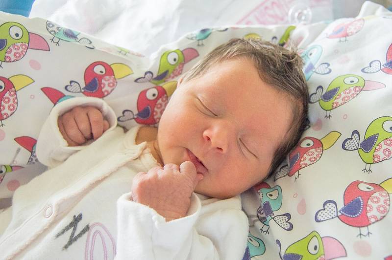 ANTONIE ZNOJEMSKÁ se narodila v pondělí 7. srpna mamince Ivetě Kvapilové z Albrechtic v Jizerských horách. Měřila 48 cm a vážila 3,49 kg.