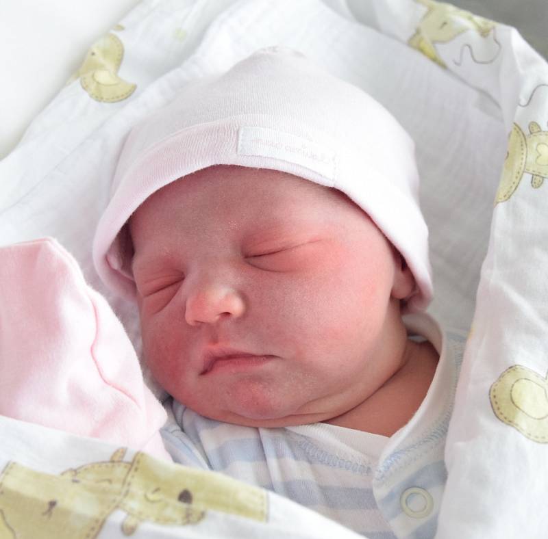 Tereza Homolková Narodila se 20. prosince v jablonecké porodnici mamince Lucii Homolkové z Jablonce nad Nisou. Vážila 3,97 kg a měřila 52 cm.