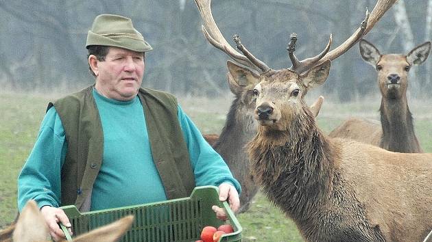 Myslivost nejsou jen hony, ale především starost o zvěř.