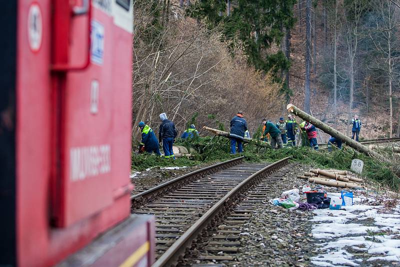 Kácení dřevin podél železniční trati 035 Železný Brod - Tanvald na snímku z 27. března. Cestující musí počítat s výlukami vlaků až do 29. března.