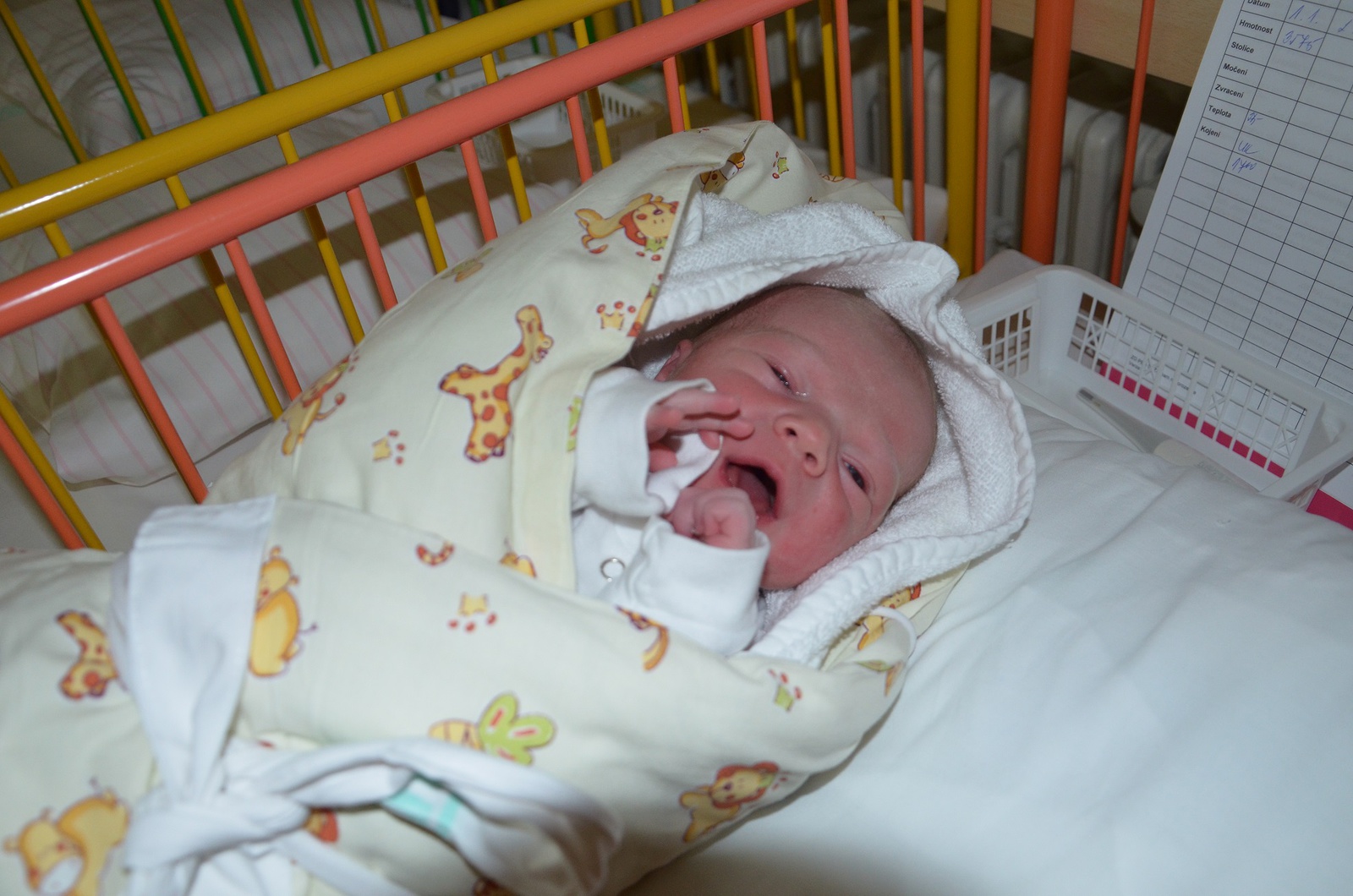 Vítáme vás na světě! Nově narozená miminka v okrese Jablonec - Jablonecký  deník