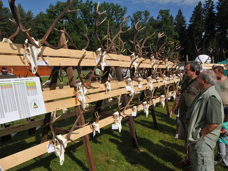 Vojenské lesy a statky ČR pořádají pravidelně v Ralsku Lesnický den