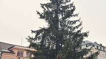 Zdobení vánočního stromu na Mírovém náměstí v Jablonci nad Nisou