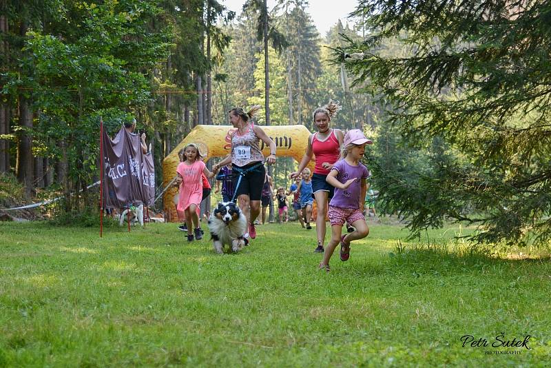 Hruboskalský caincross.