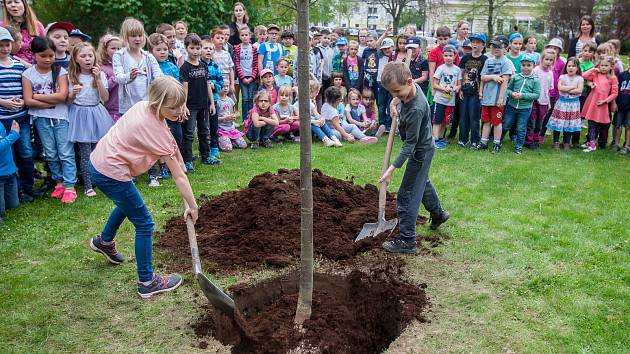 Vedení města Turnov a zástupci Výboru dobré vůle - Nadace Olgy Havlové zasadili 25. dubna v Turnově lípu na počest 85. výročí narození Olgy Havlové. Se výsadbou stromu pomohly i děti ze Základní školy Skálova v Alešově ulici.