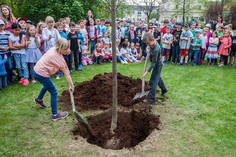 Vedení města Turnov a zástupci Výboru dobré vůle - Nadace Olgy Havlové zasadili 25. dubna v Turnově lípu na počest 85. výročí narození Olgy Havlové. Se výsadbou stromu pomohly i děti ze Základní školy Skálova v Alešově ulici.