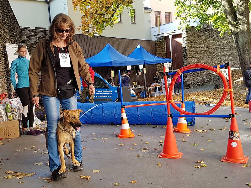 K tradičním podzimním akcím patří soutěž Jablonecký voříšek, kterou pořádá útulek Dášenka v Lučanech. 19. ročník se konal na Letní scéně jabloneckého Eurocentra.