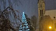Vánoční strom ve Velkých Hamrech