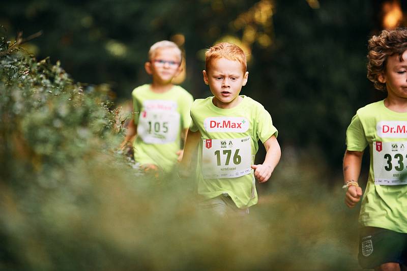 Letní Jizerská padesátka v okolí Bedřichova