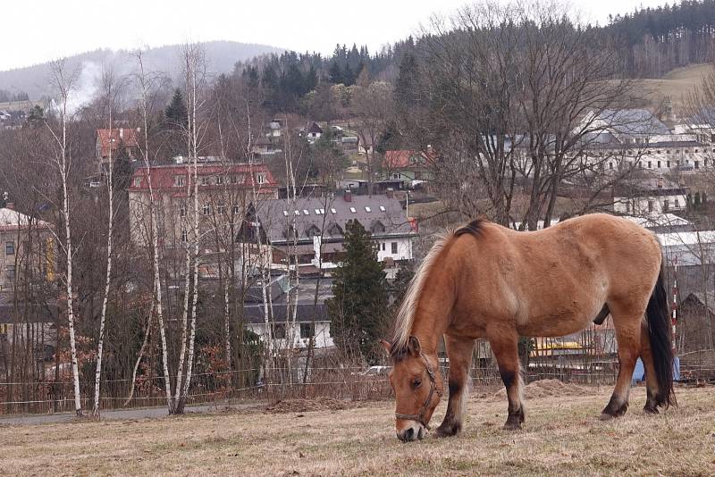 Kostel sv. Michaela na Smržovce.