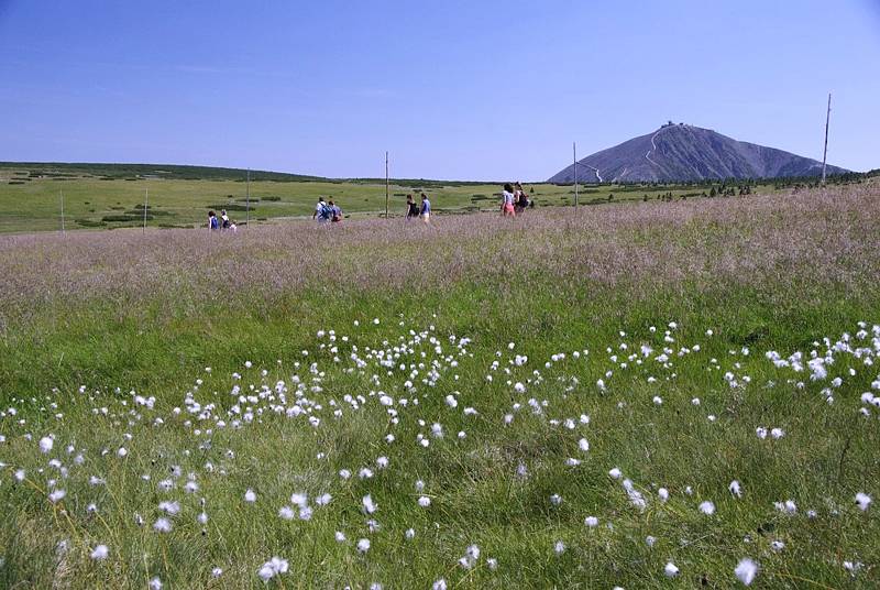 Krkonoše.