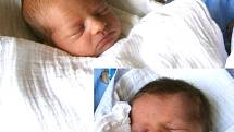 Karla Brixi a Ella Brixi se narodila Michaele Blažkové a Danielovi Brixi ze Železného Brodu 7.9.2015. Karla měřila 44 cm a vážila 2400 g a Ella měřila 44 cm a vážila 2200 g.